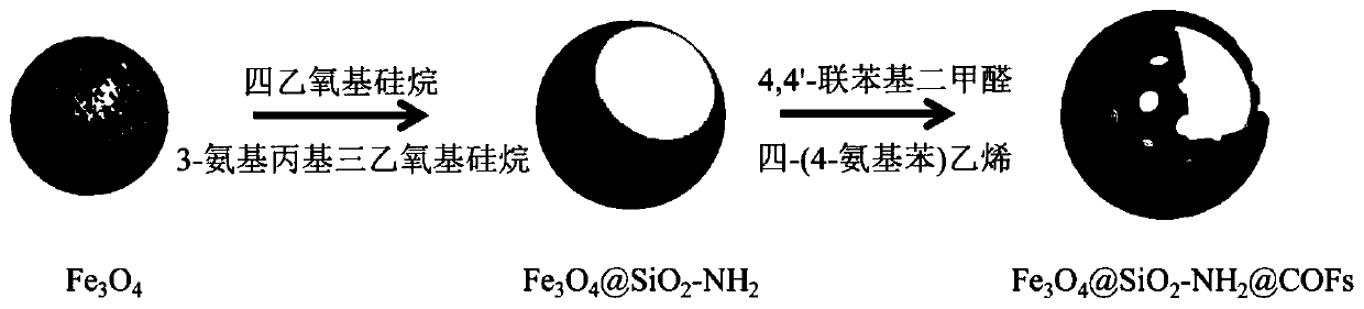 Magnetic heteroporous covalent nano material and preparation method and application thereof