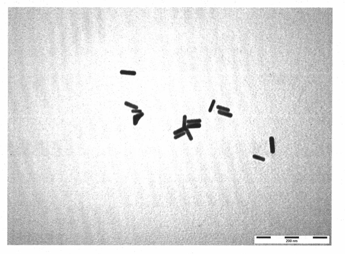 Biological functionalized gold nanorod molecular probe as well as preparation method and application thereof