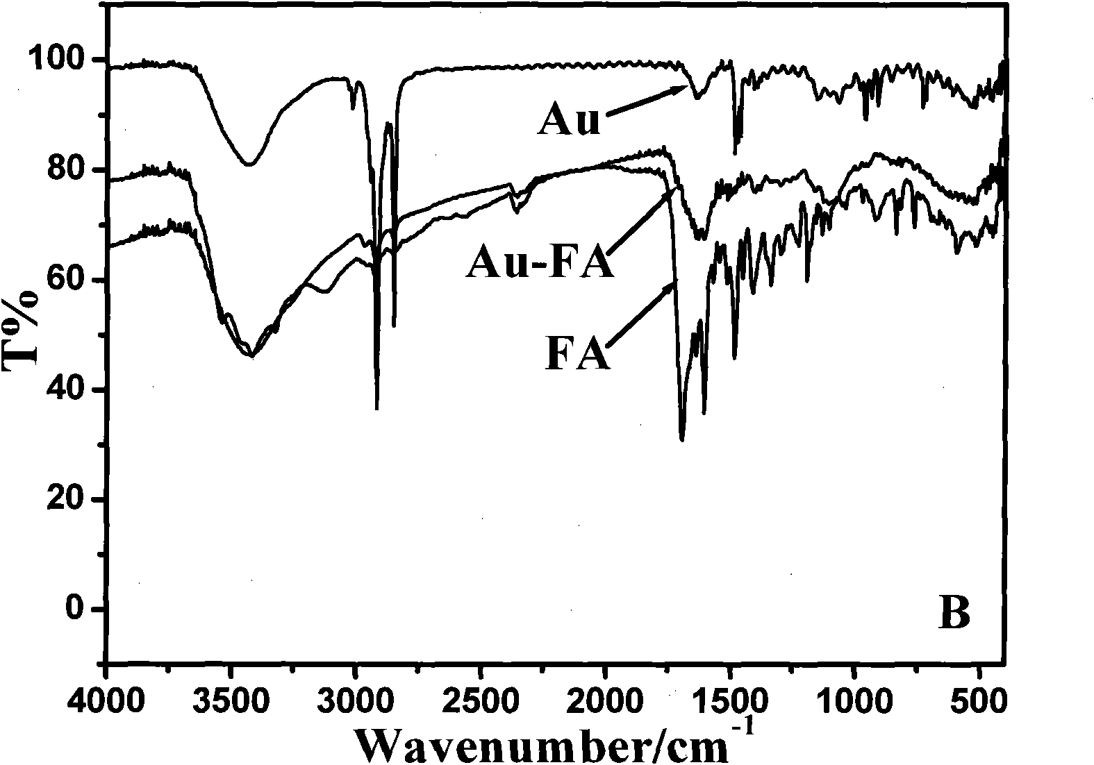 Biological functionalized gold nanorod molecular probe as well as preparation method and application thereof