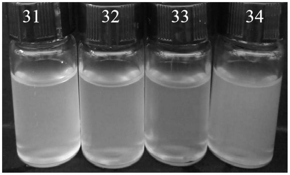 Biological indicator based on phosvitin as well as preparation method and application of biological indicator