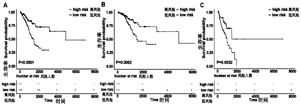 Prognosis evaluation system for patients with early-stage lung adenocarcinoma (LUAD) and application thereof