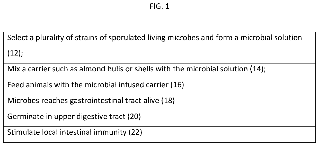 Animal feed stock using microbial enhancement