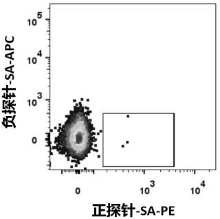 A fully human monoclonal neutralizing antibody against novel coronavirus and its application