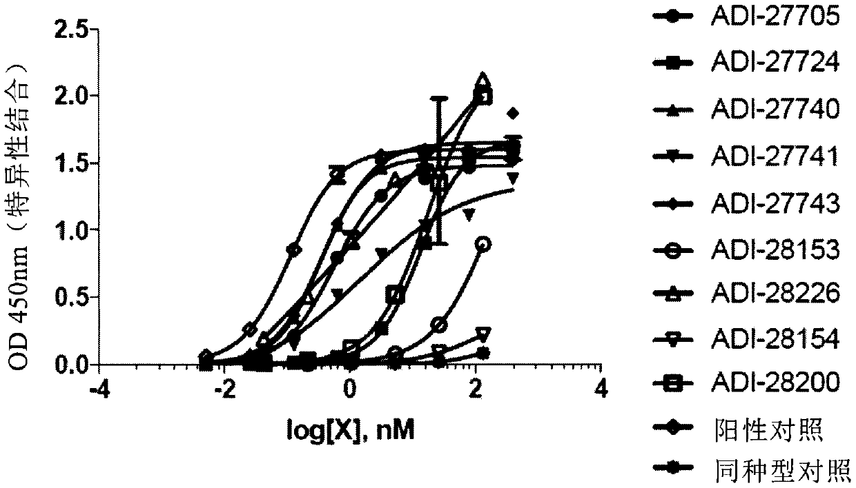 Proteins binding cd123, nkg2d and cd16