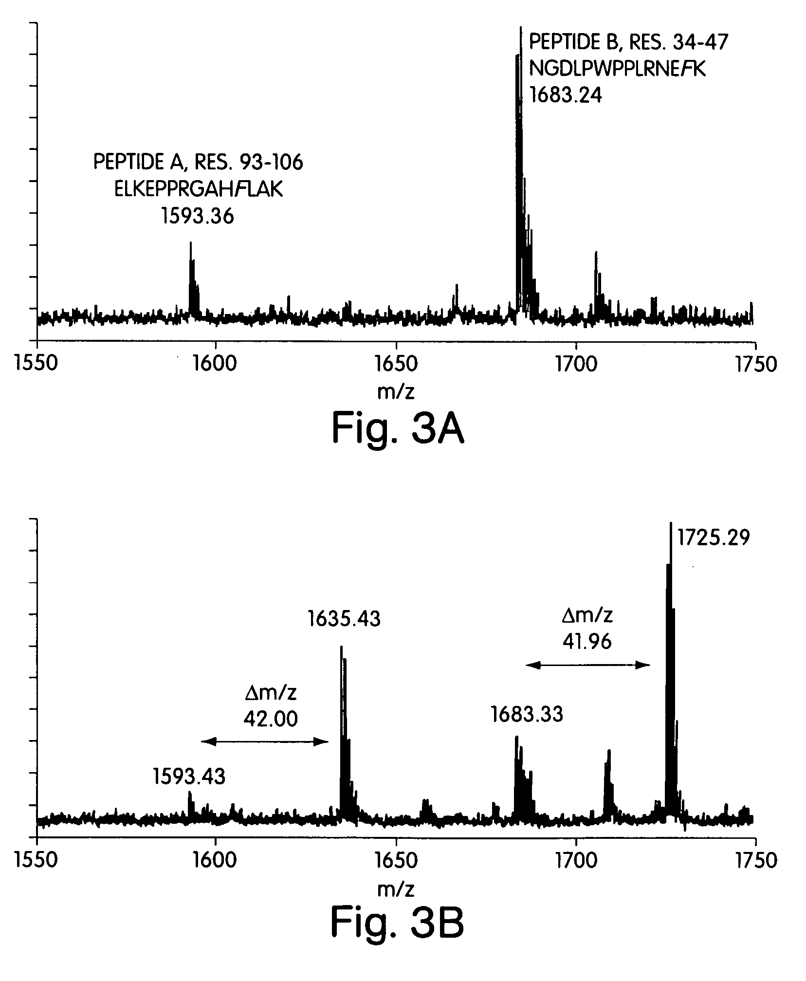 Computational method for designing enzymes for incorporation of amino acid analogs into proteins