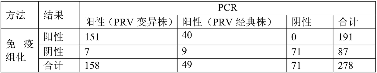 Pseudorabies virus gC protein antibody, kit containing antibody and application