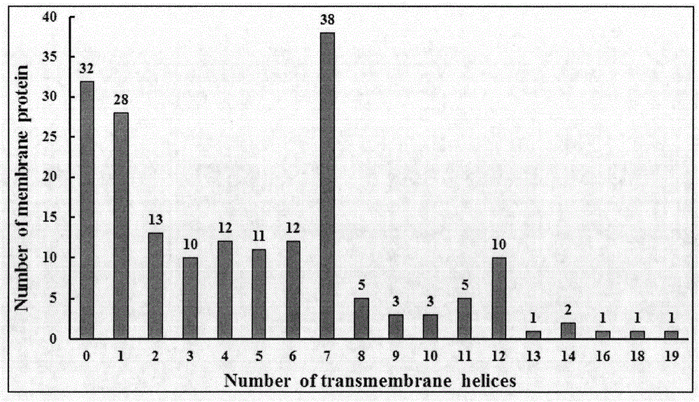 Neuropeptide receptor screening method