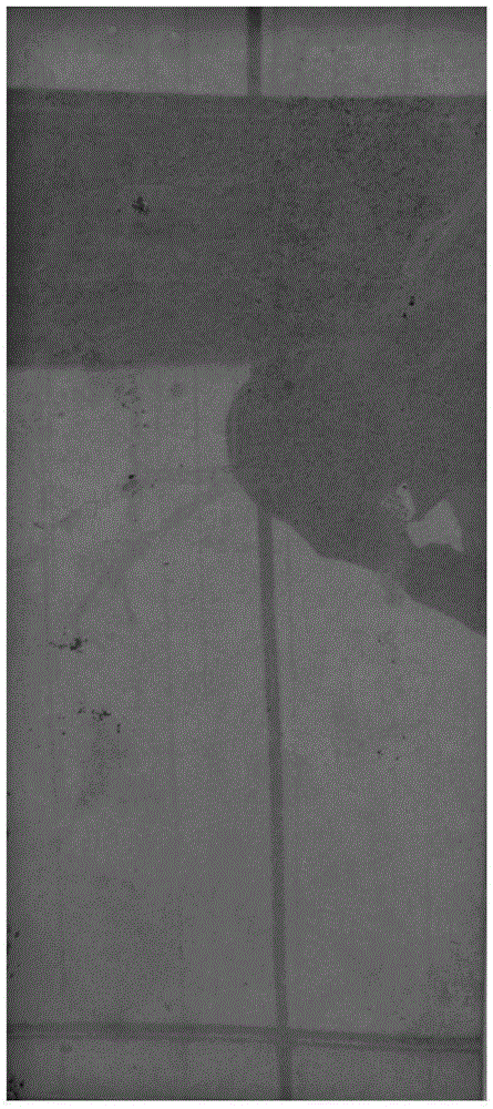 Root-washing method and application of a kind of substrate-raised seedlings