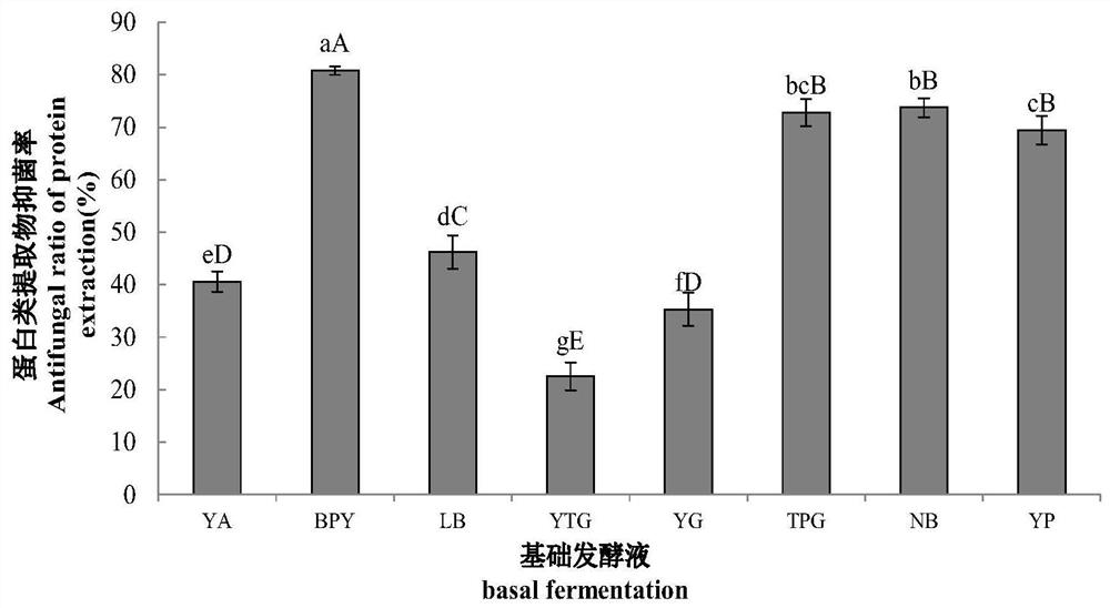 A kind of fermentation broth and fermentation method for extracellular antibacterial protein produced by Bacillus amyloliquefaciens sz-60