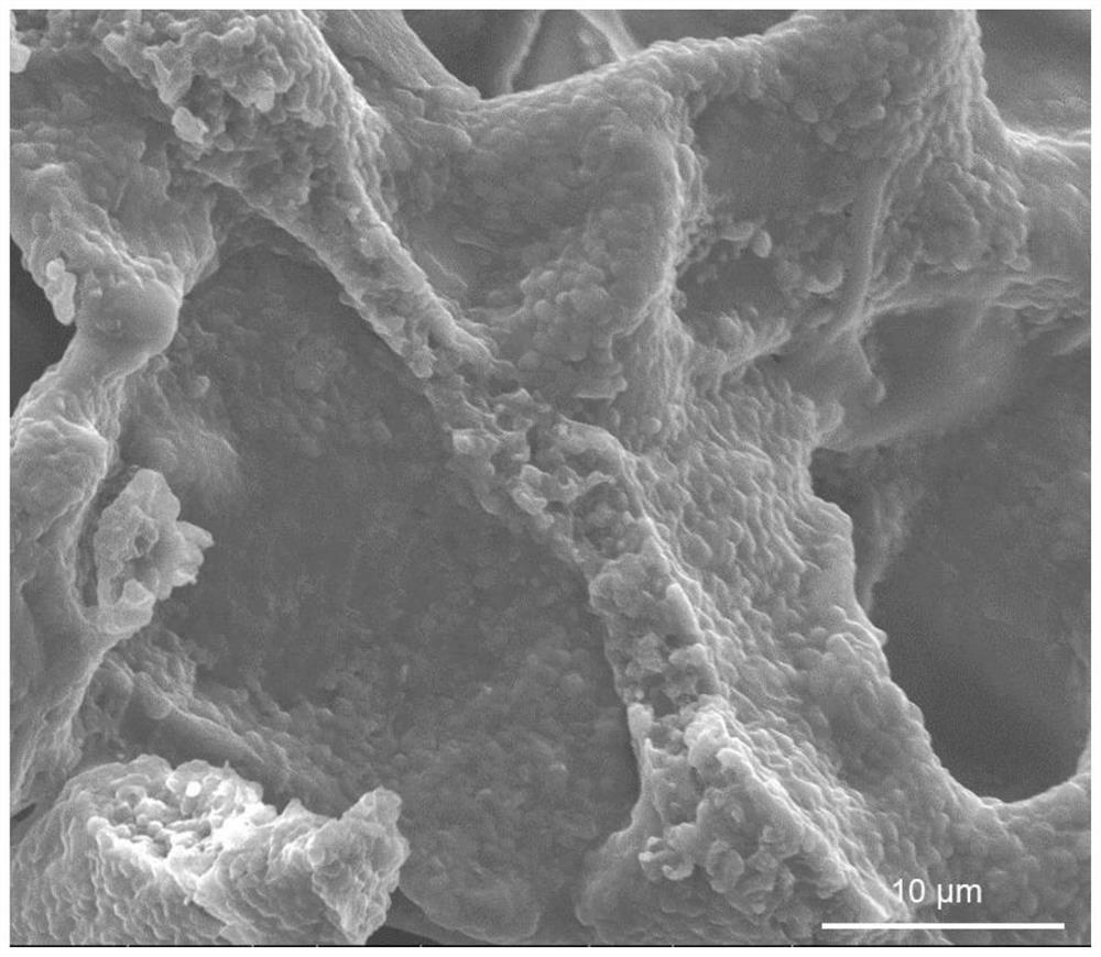 Method for immobilizing microorganism high-yield hyaluronic acid by using 3D printing technology