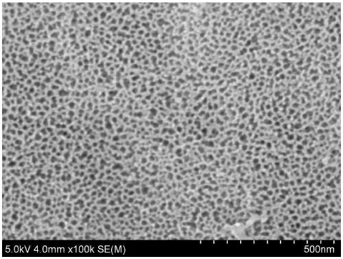 Surface treatment fluid for surface treatment of magnesium alloy and aluminum alloy composite parts and method