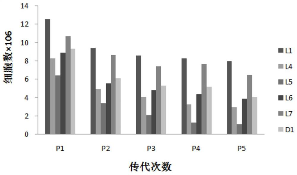 Culture method for promoting proliferation and differentiation of mesenchymal stem cells and serum-free culture medium