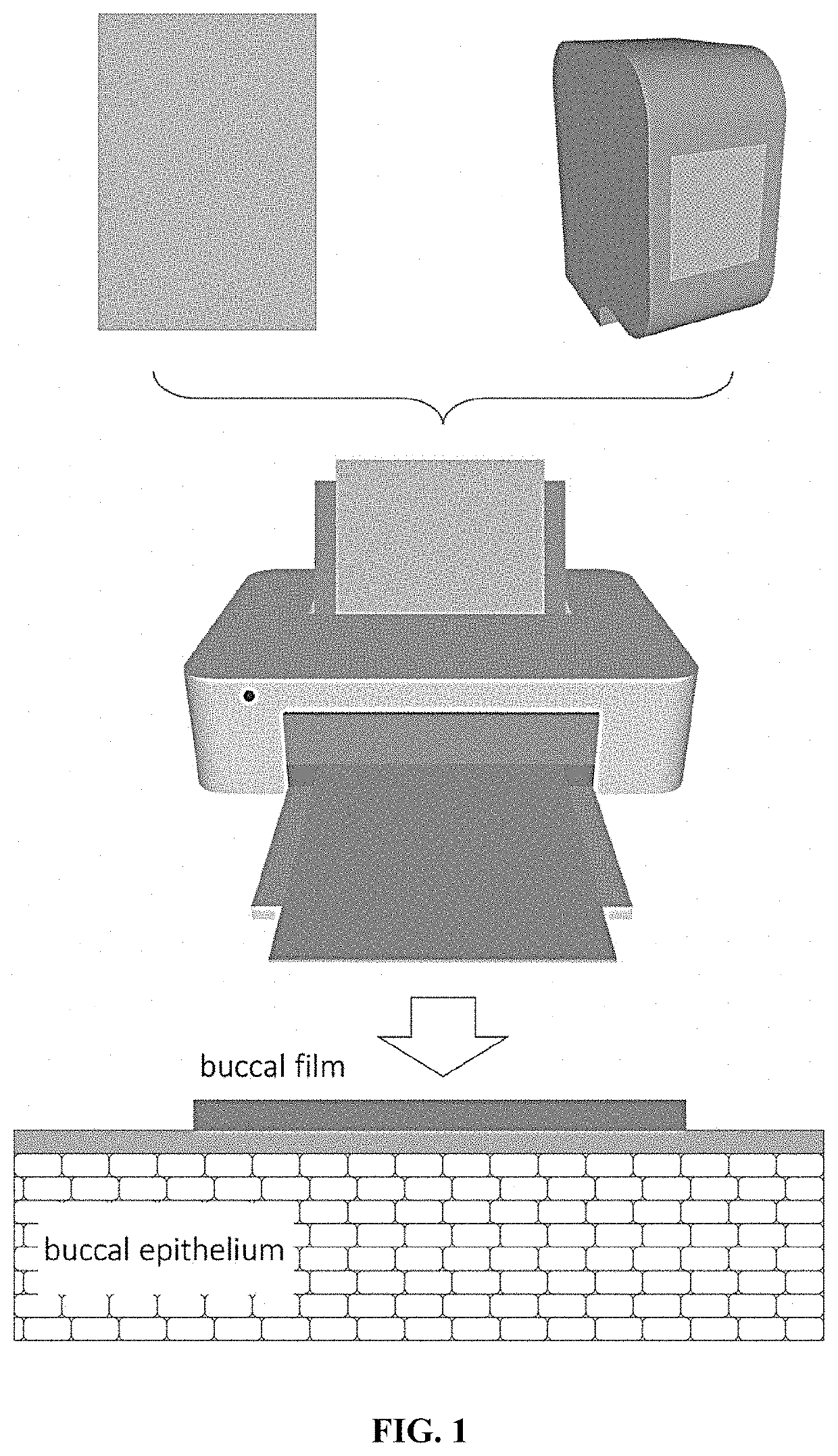 Method for the manufacture of a dosage form with mucoadhesive properties for buccal administration of biologics