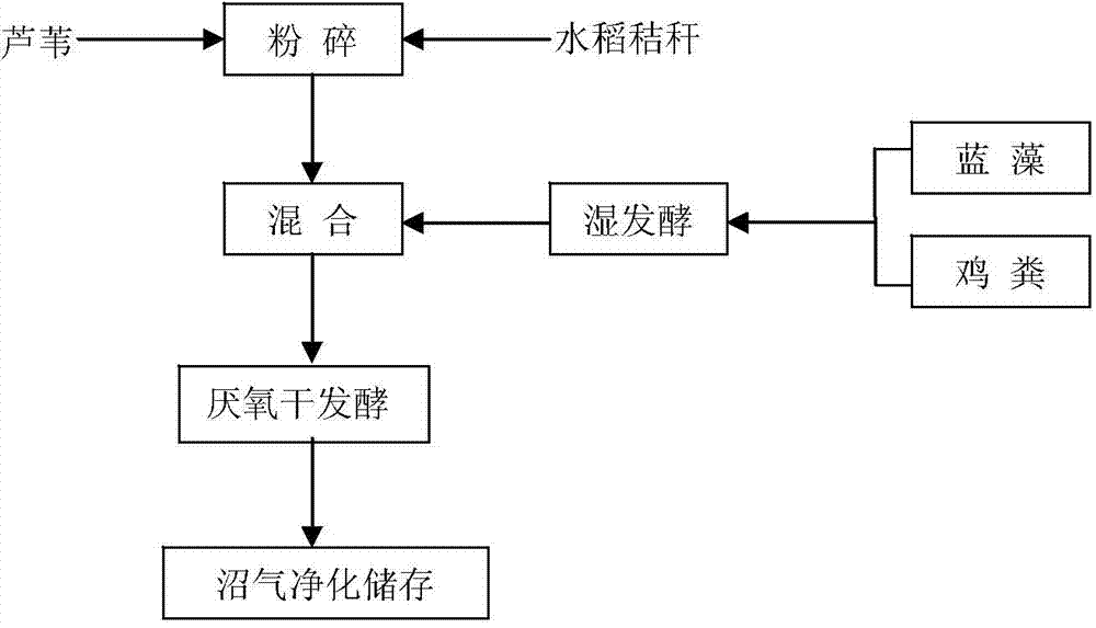 Dry anaerobic fermentation technology for preparing biogas from blue algae, reed, and paddy rice straw