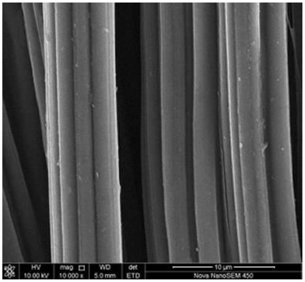Application of a kind of sulfonated carbon cloth electrode