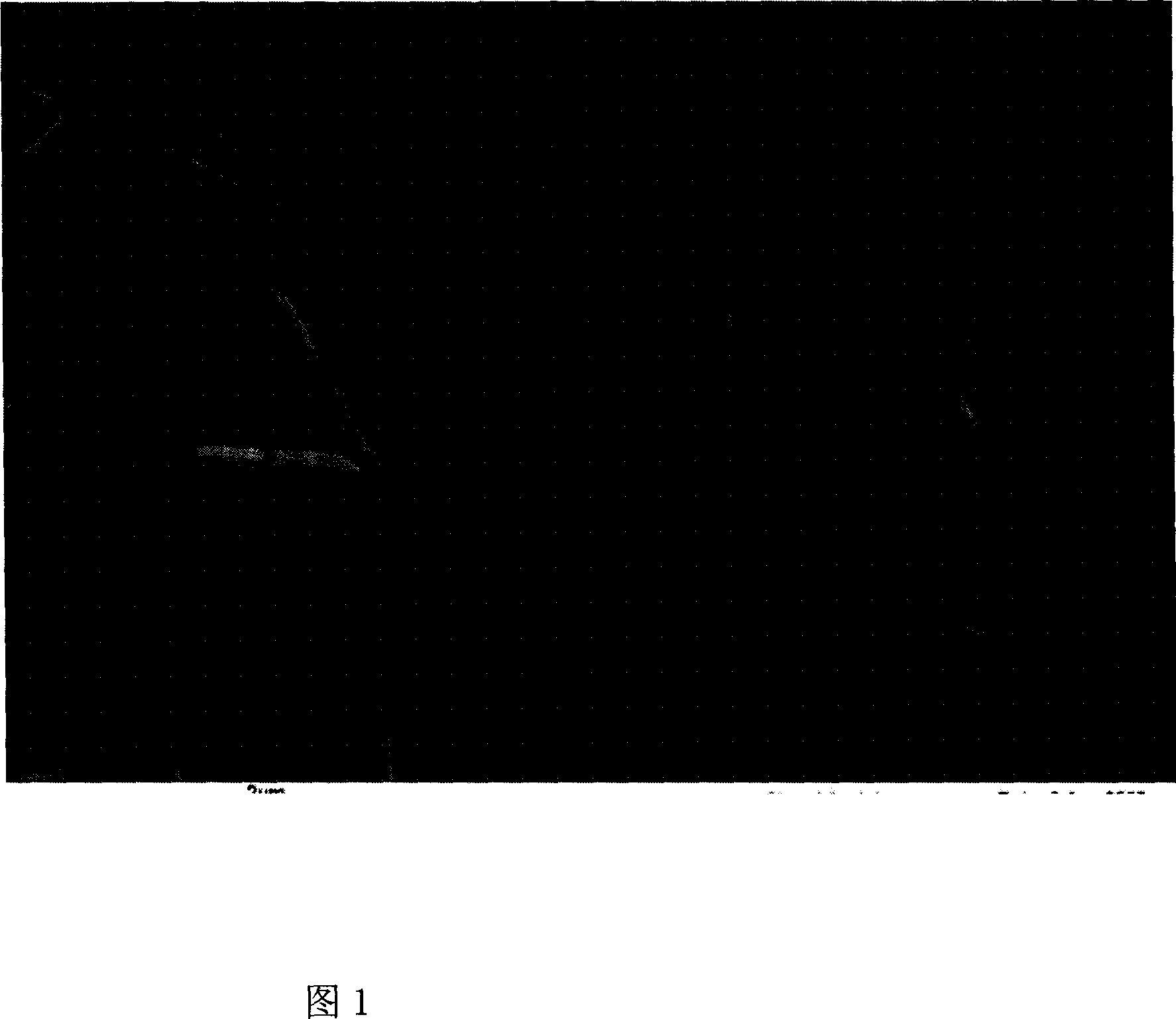 Normal pressure zinc vapor oxidizing process for preparing four-needle zinc oxide whisker