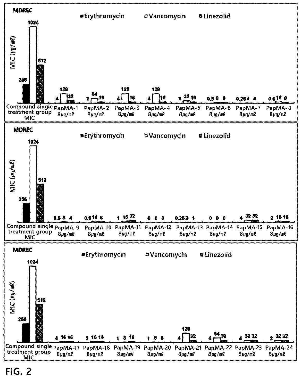 Antimicrobial peptide having synergistic antibacterial effect with antibiotics on multidrug resistant bacteria, and use thereof