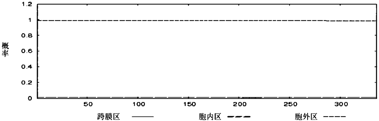 Streptococcus suis B cell dominant epitope tandem vaccine and preparation method thereof