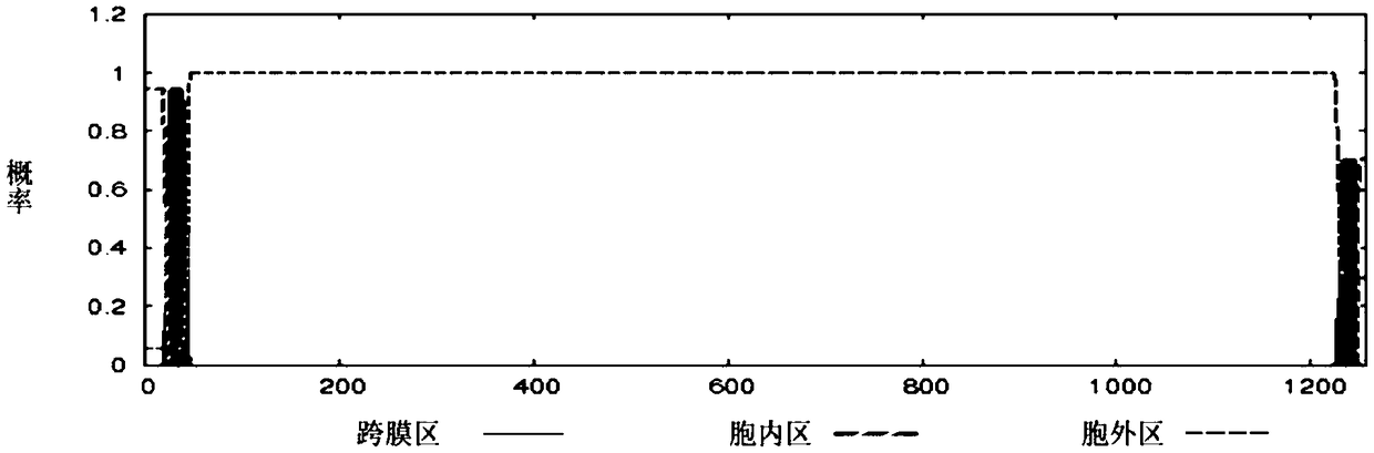 Streptococcus suis B cell dominant epitope tandem vaccine and preparation method thereof