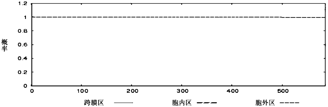 Streptococcus suis B cell dominant epitope tandem vaccine and preparation method thereof