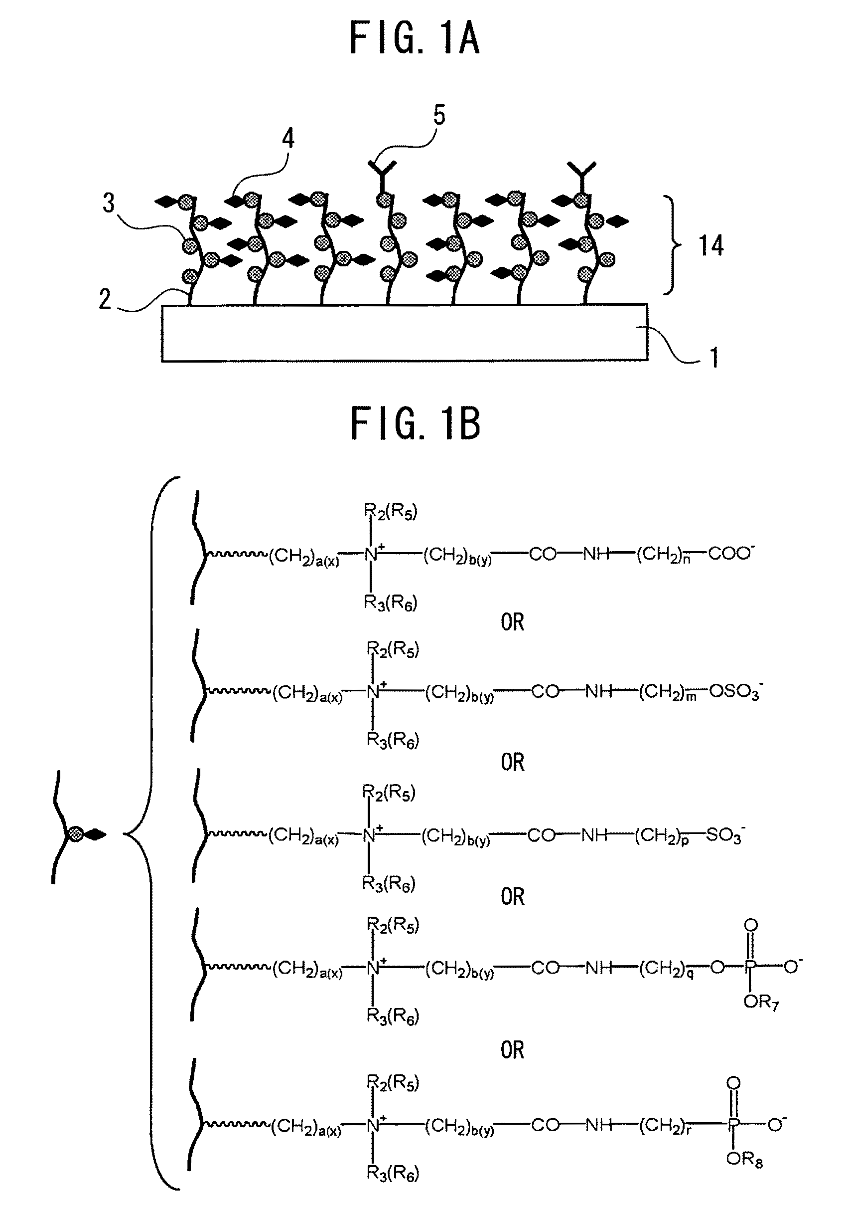 Structure, target substance detection element and target substance detection kit