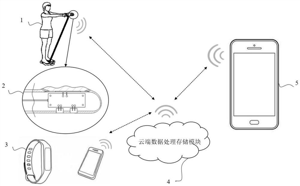 Sarcopenia data acquisition system based on household body composition instrument and intelligent equipment