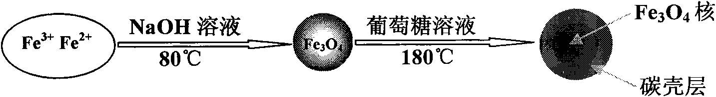 Preparation method and application of core-shell type Fe3O4/C magnetic nano solid extracting agent