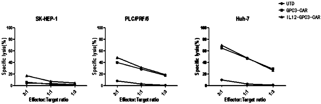 Immunologic effector cell targeting CPC3 and application thereof