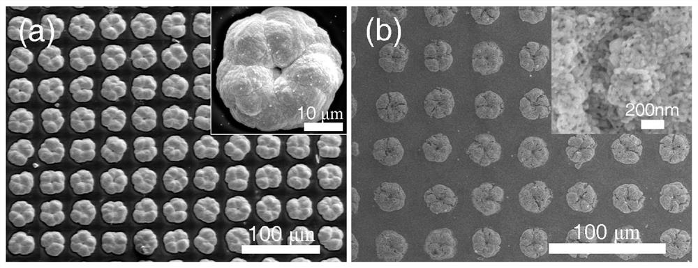 Method for preparing nanoporous silver by electrodeposition