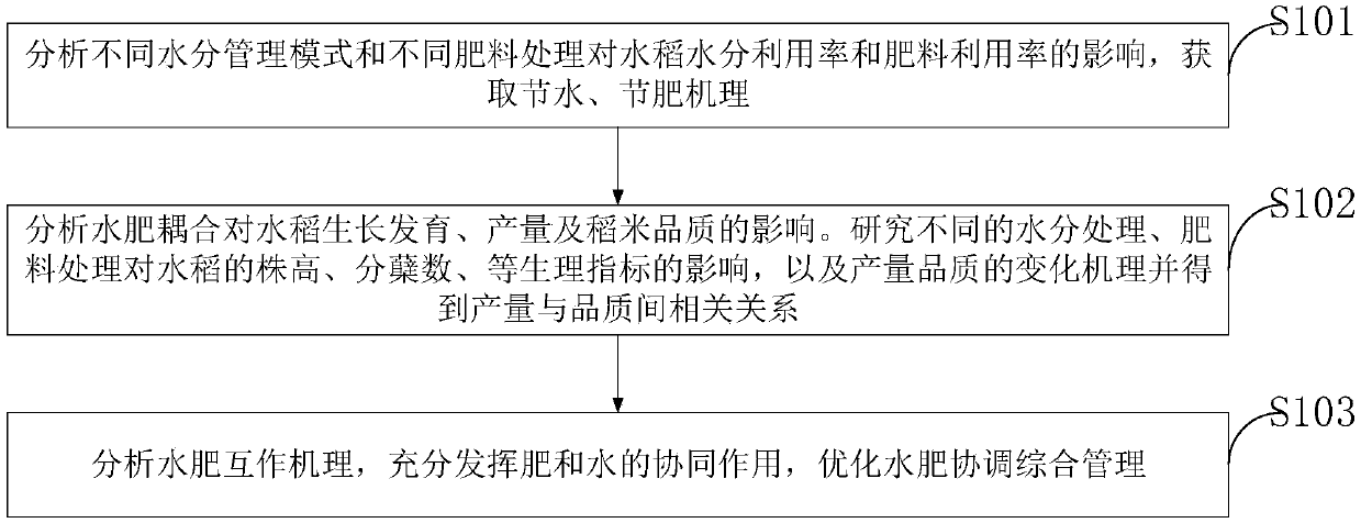 Method for regulating yield and growth shape of rice by virtue of water-fertilizer coupling