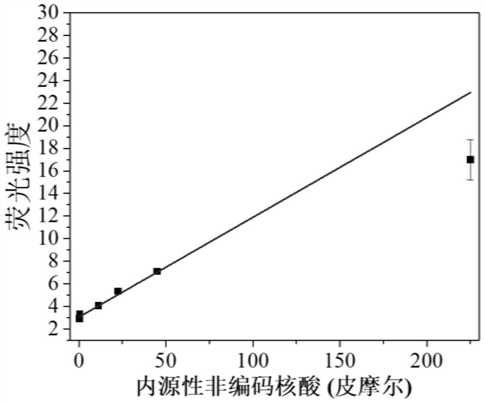 a fe-based  <sub>3</sub> o  <sub>4</sub> @c Nanoparticle miRNA optical sensing detection method