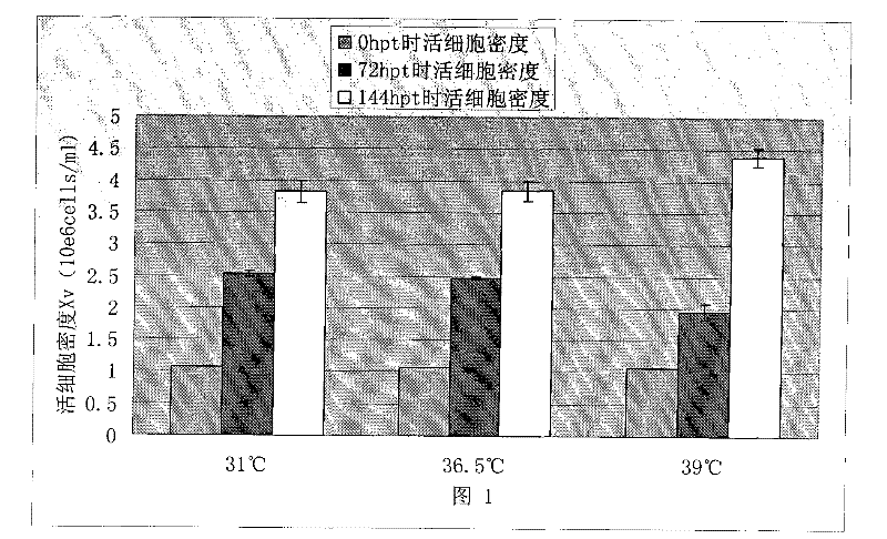 Method for improving transient expression of recombinant proteins in mammalian cells through temperature jump