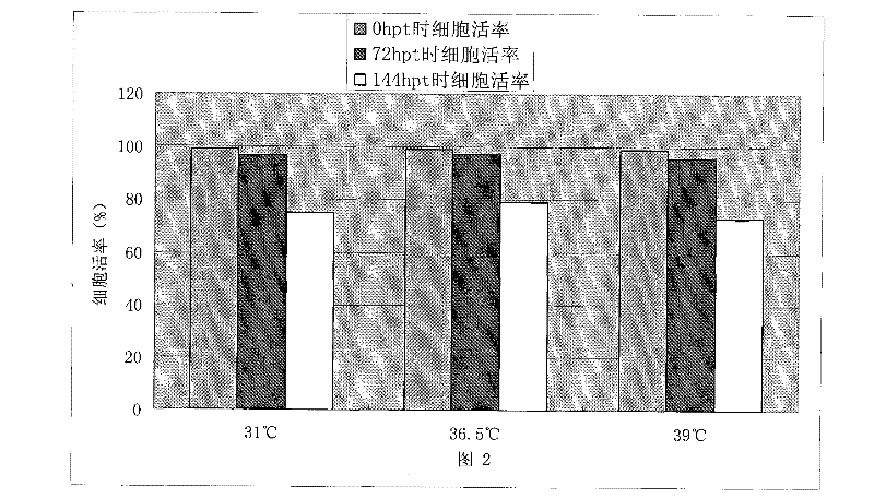 Method for improving transient expression of recombinant proteins in mammalian cells through temperature jump