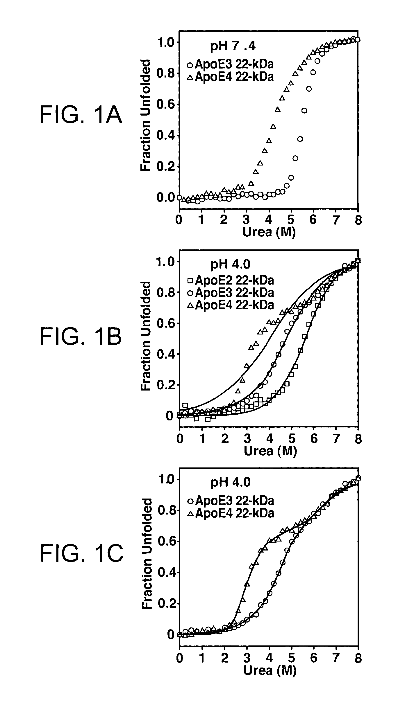 Apolipoprotein E stable folding intermediate and methods of use thereof