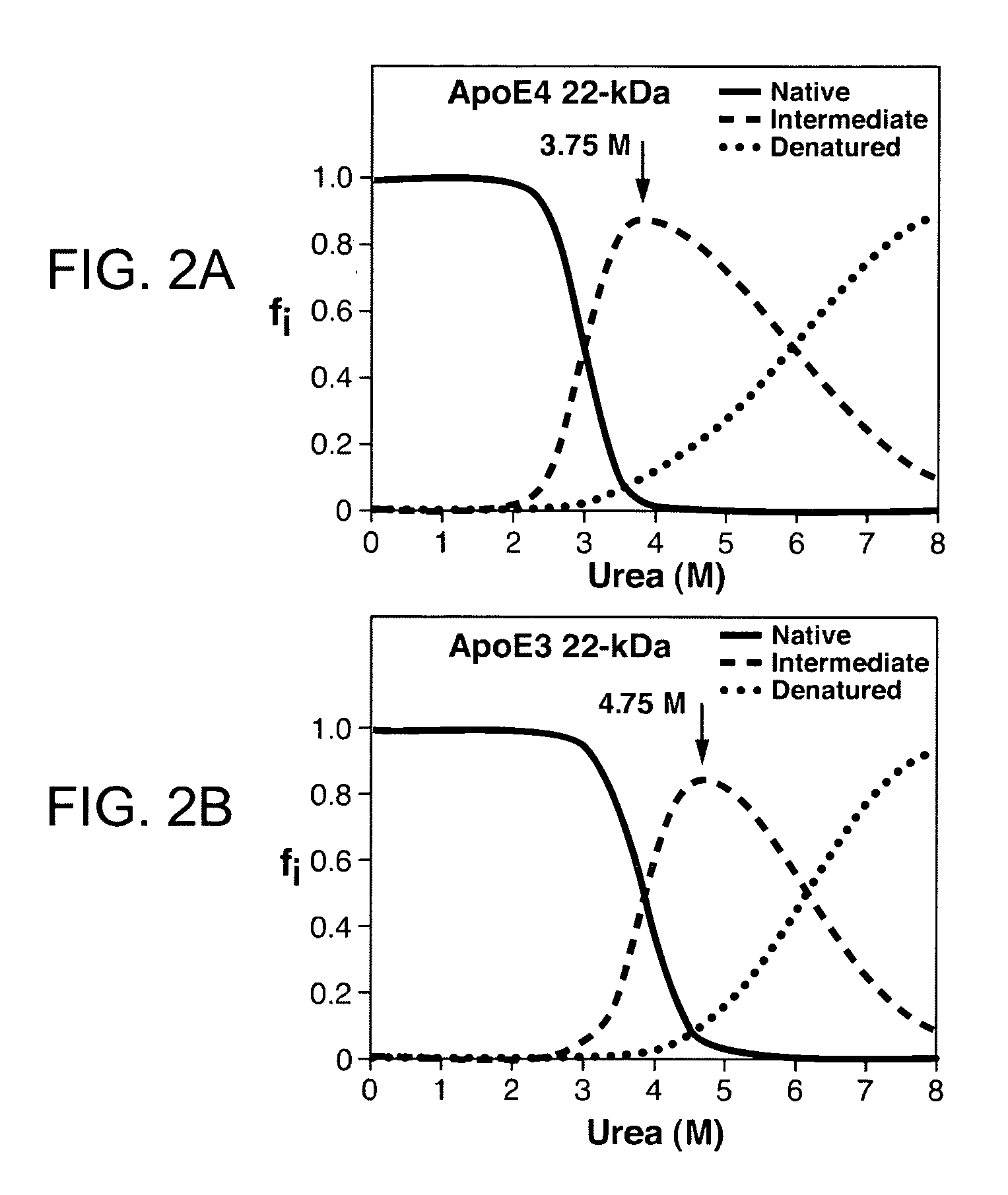 Apolipoprotein E stable folding intermediate and methods of use thereof