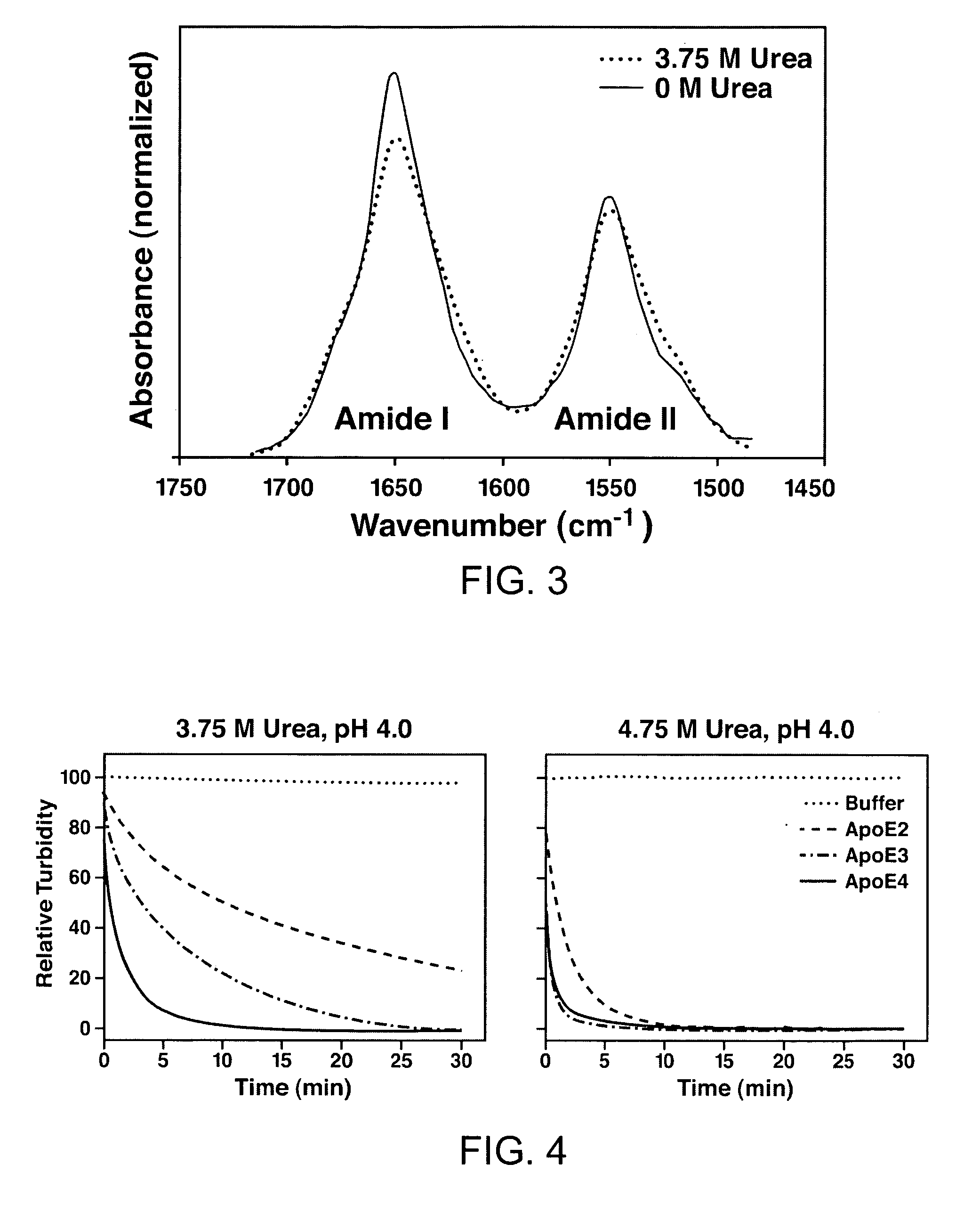 Apolipoprotein E stable folding intermediate and methods of use thereof