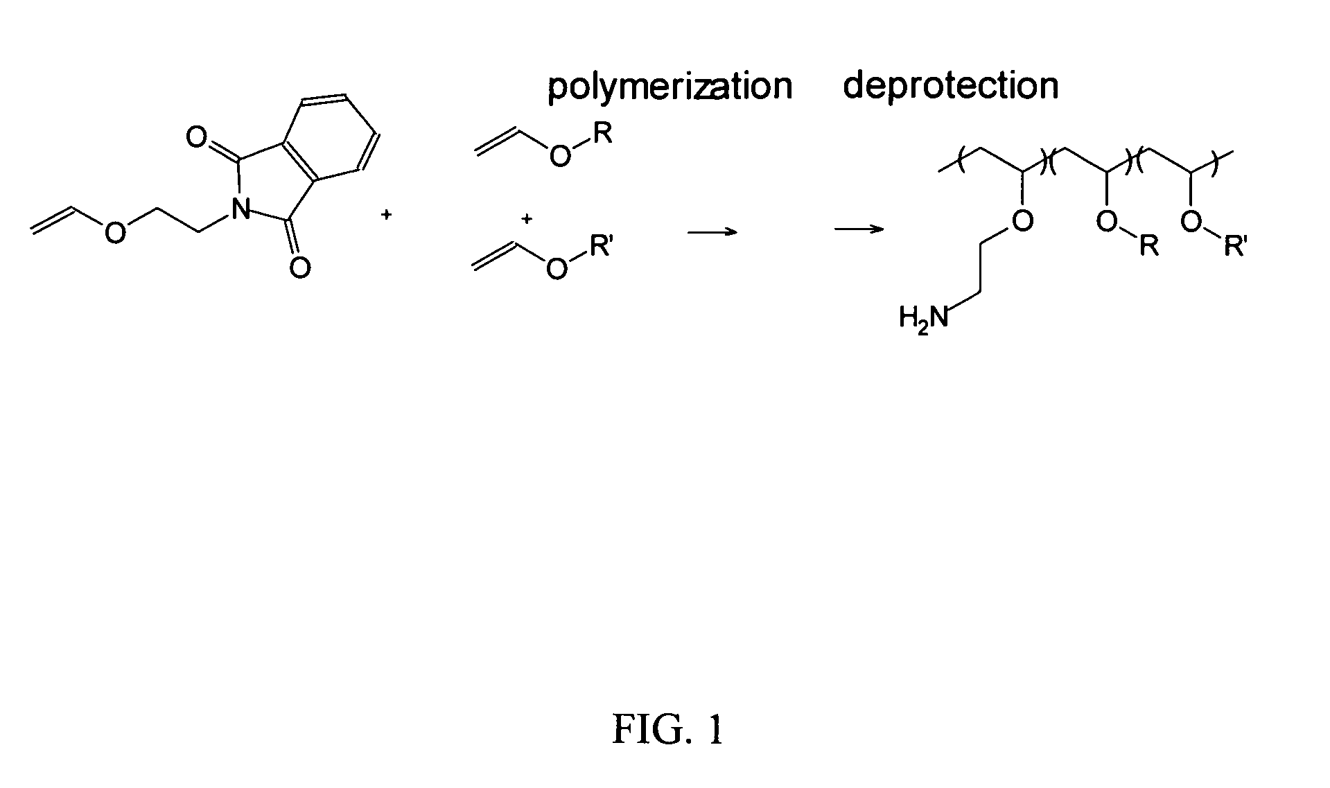 Compounds and methods for reversible modification of biologically active molecules