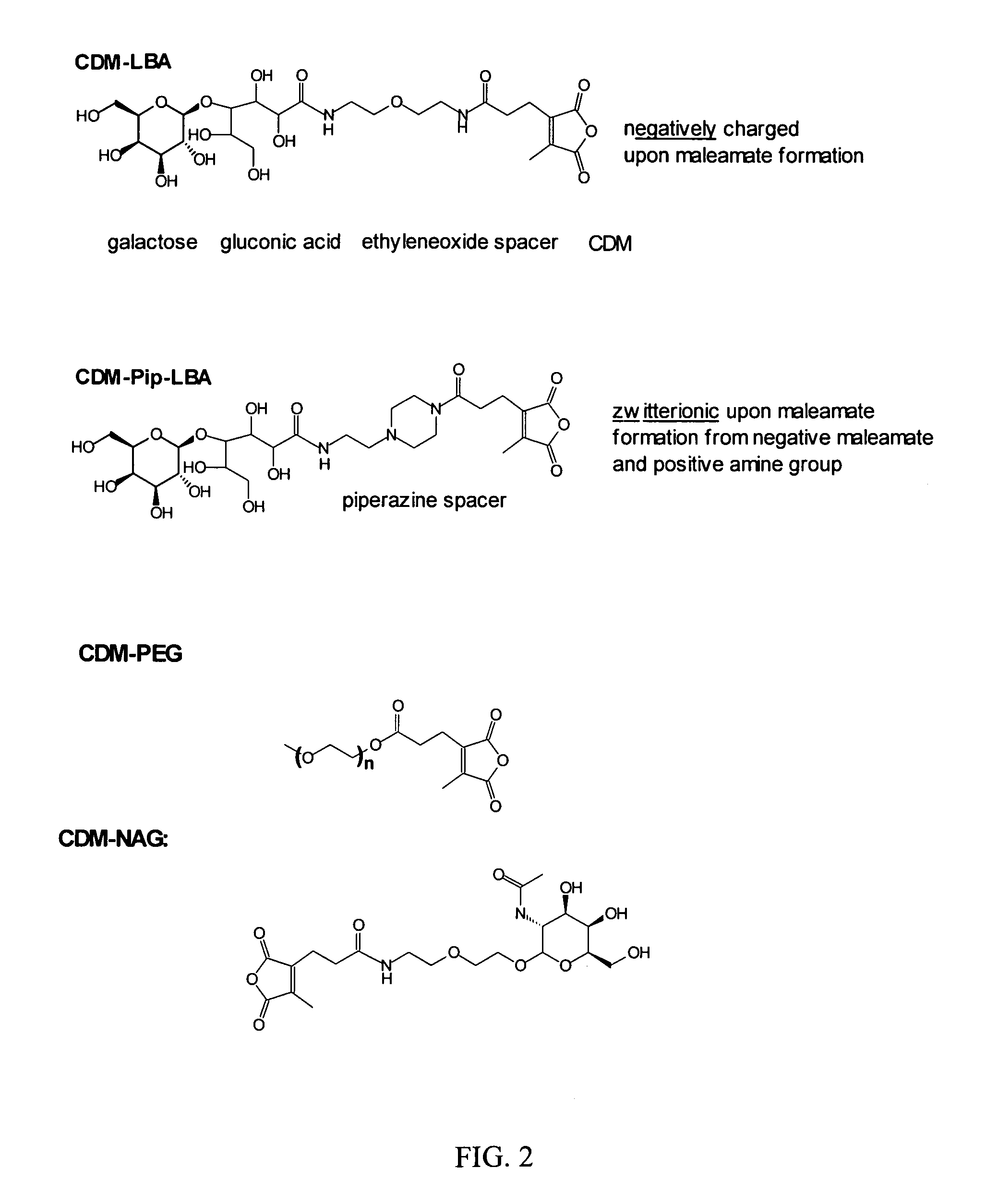 Compounds and methods for reversible modification of biologically active molecules