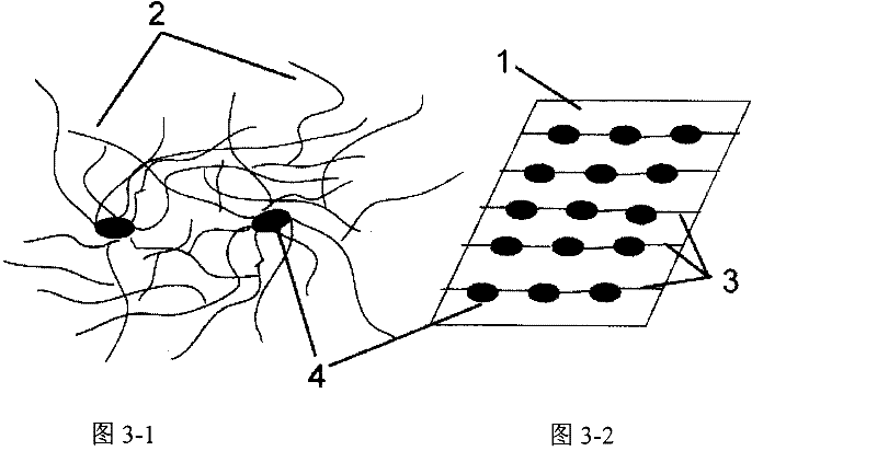 Device for establishing single-cell level connection between neurons and growth connecting method