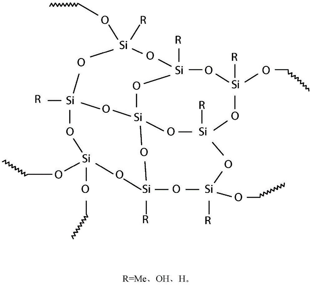 Oral care compositions containing polyorganosilsesquioxane particles