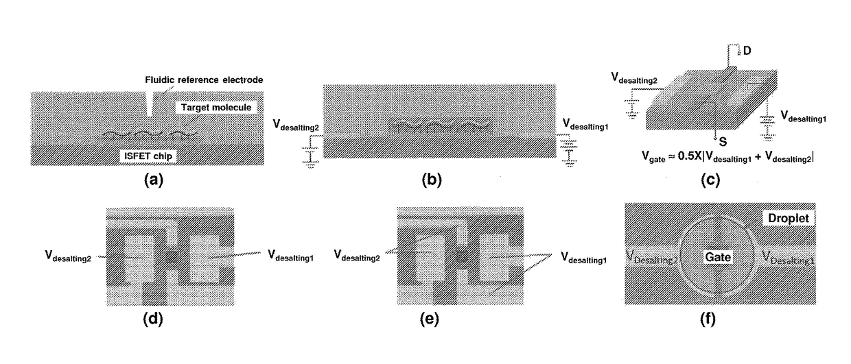 Label Free Analyte Detection by Electronic Desalting and Field Effect Transistors