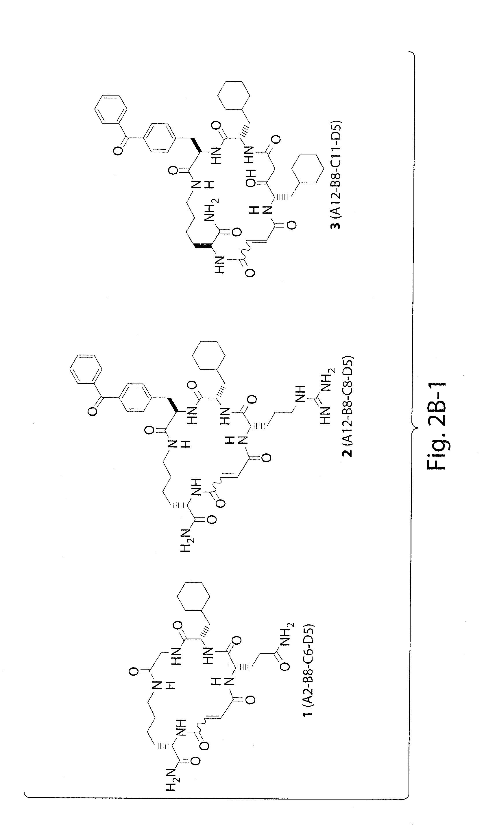 Macrocyclic insulin-degrading enzyme (IDE) inhibitors and uses thereof