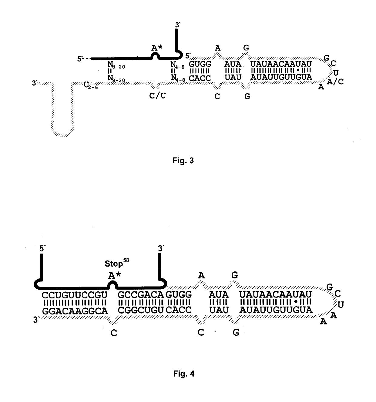Methods and substances for directed RNA editing