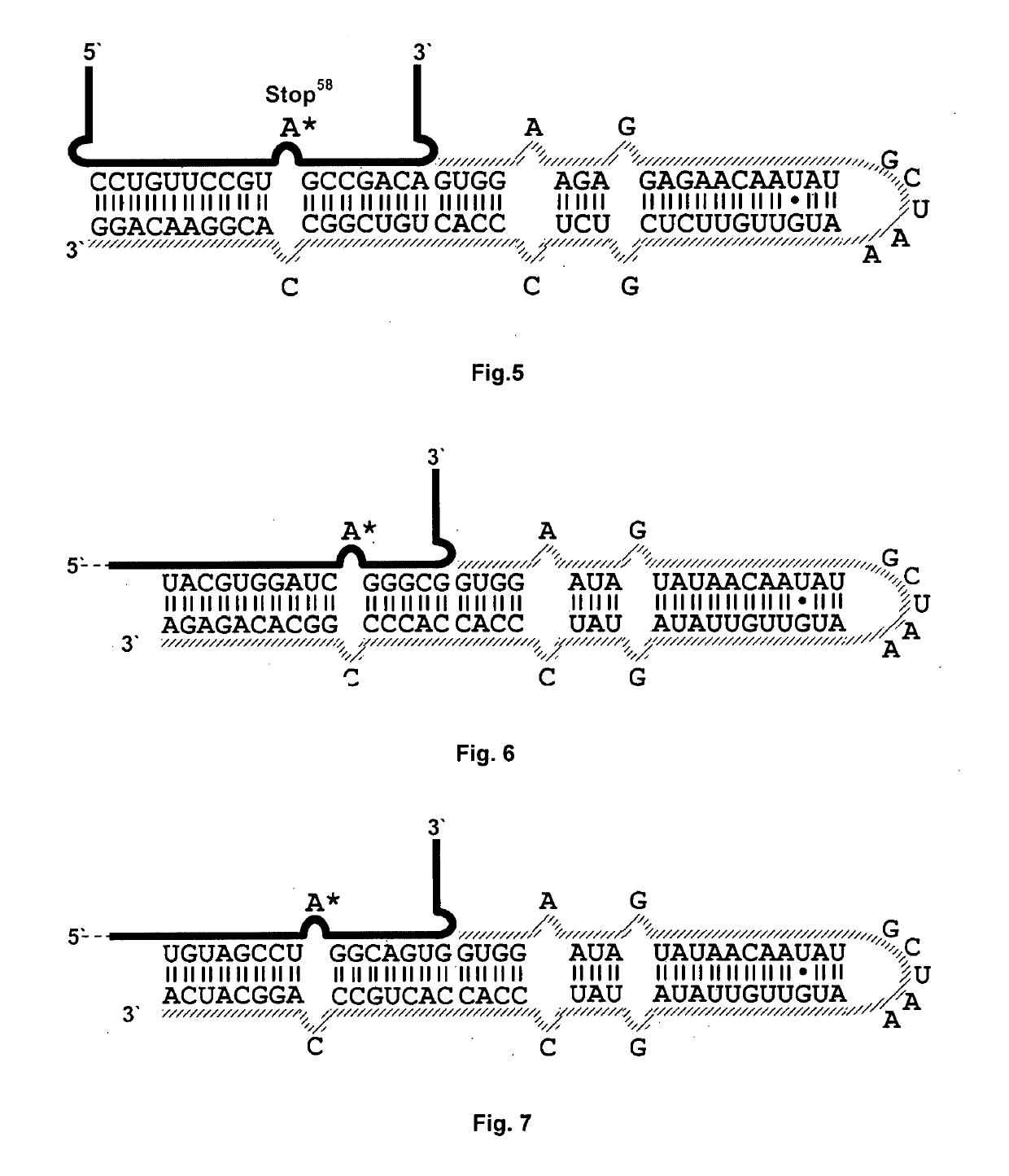 Methods and substances for directed RNA editing
