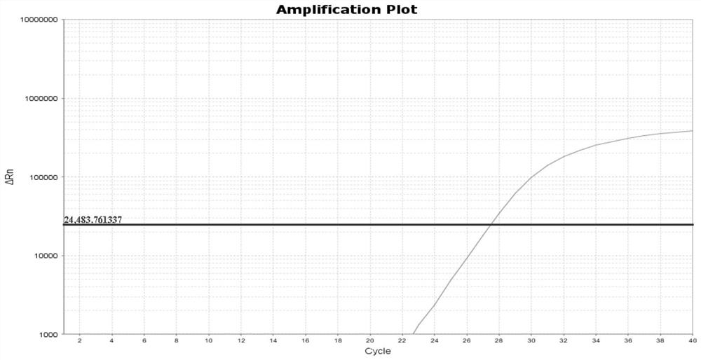 TaqMan probe fluorescent quantitative PCR kit for Nipah virus and application thereof