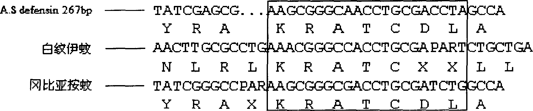 Anopheles sinensis transgene system