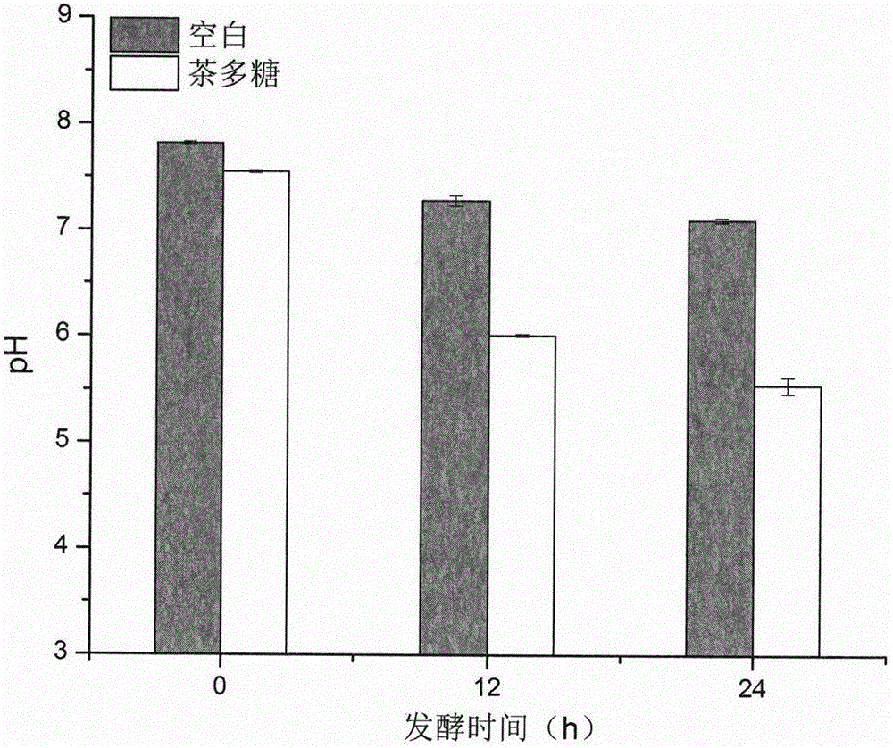 Method for preparing Fuzhuan tea polysaccharide with intestinal tract benefiting function