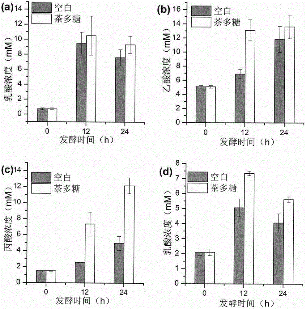 Method for preparing Fuzhuan tea polysaccharide with intestinal tract benefiting function