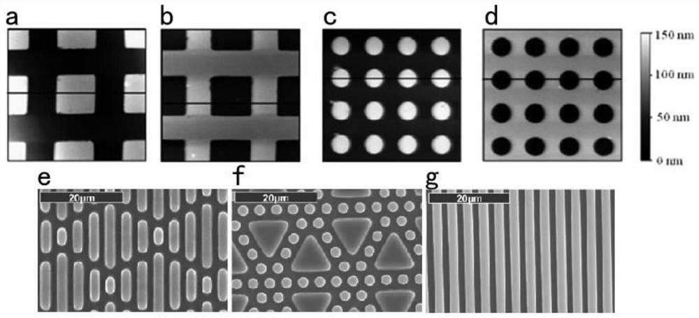 An in-situ characterization device and characterization method for the interaction between microorganisms and solid surfaces