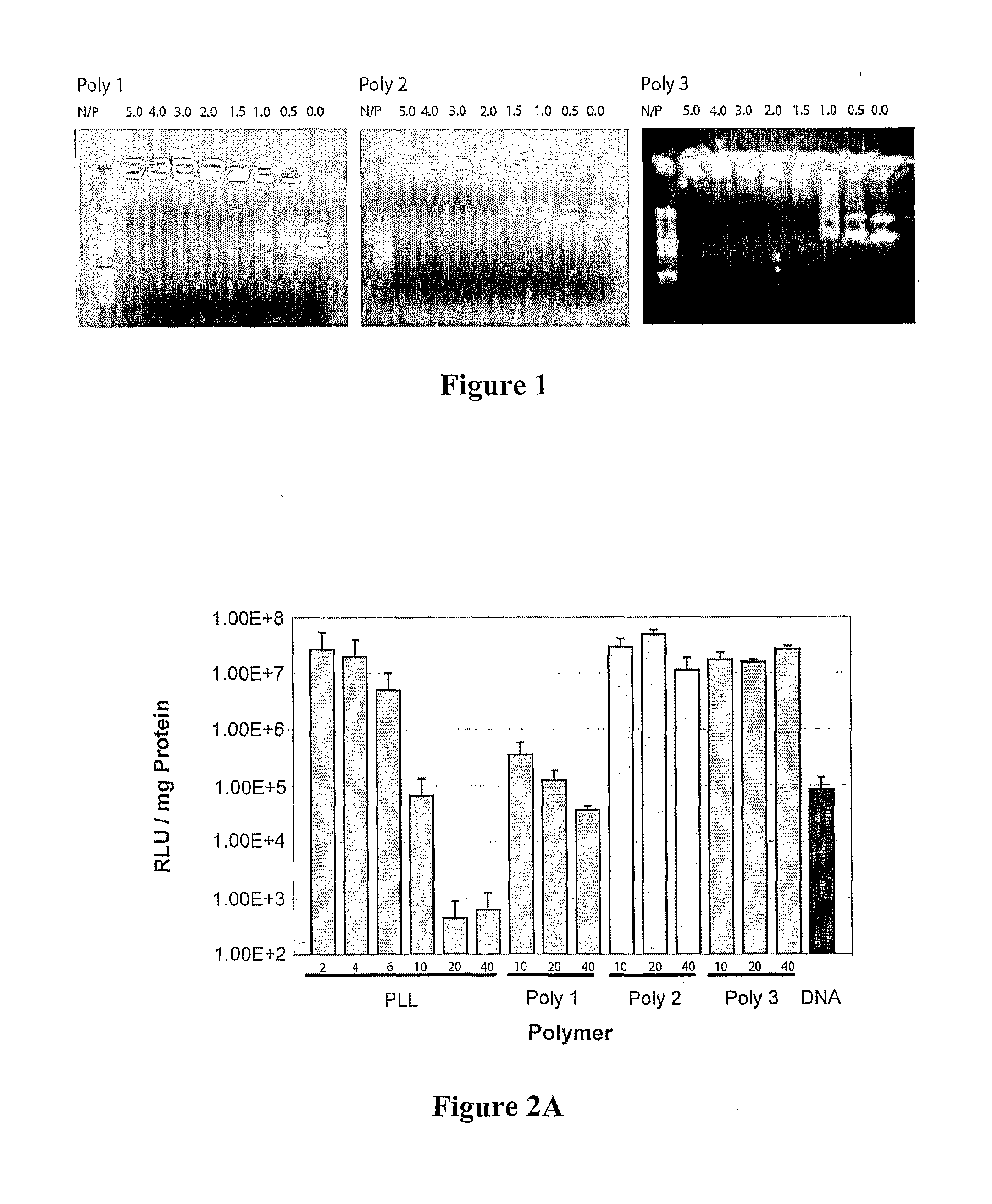 Polymeric Materials and Methods